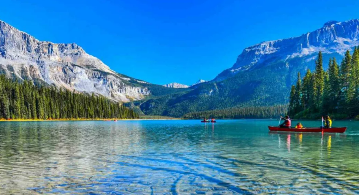 WHY NO PET FOR ME IN BC?