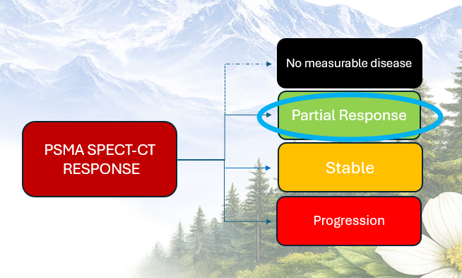 SPECT-partial response evidence